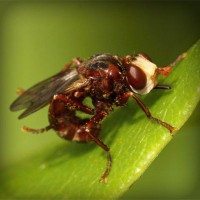 /album/dantics/photolia-a06-jpg/